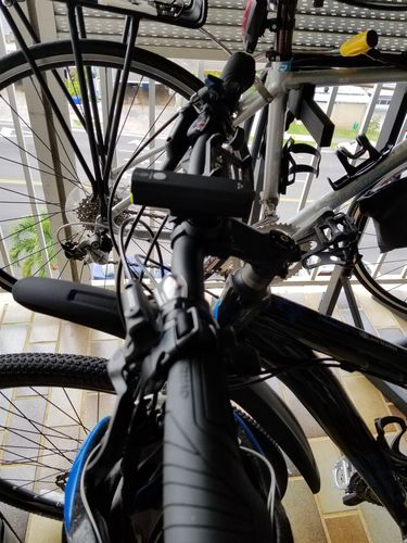 5 star review by Patricia J., posted on 2018-10-29