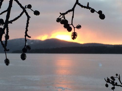 5 star review by Kimmo A., posted on 2017-10-06