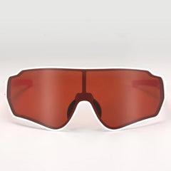 Raven Polarized Glasses