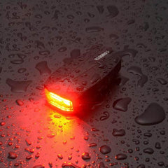 Sentinel Anti Theft Rear Light