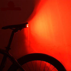 Sentinel Anti Theft Rear Light