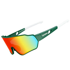 Raven Polarized Glasses