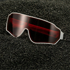 Raven Polarized Glasses